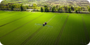 Pesticides/Insecticides <br>Registration