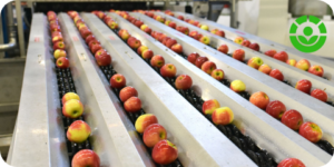 Certificate of Approval– Irradiated Food Facility