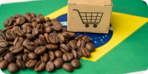 Food Import Assistance