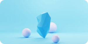 Private Limited <br>Company 