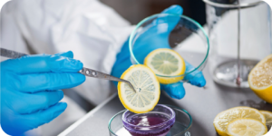 Data Generation Services